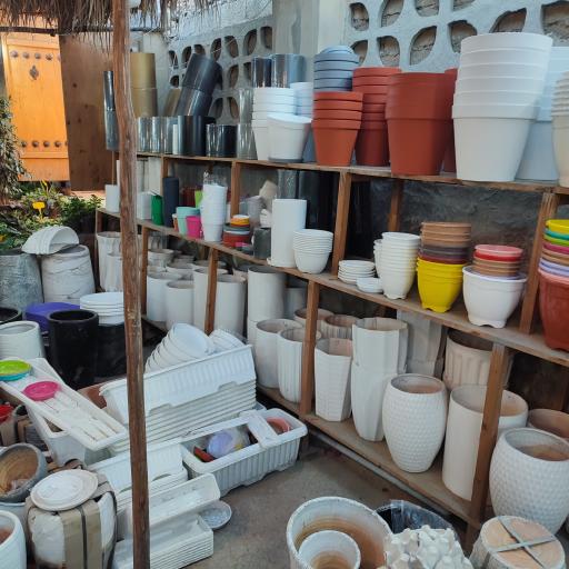 عکس گل باغ شناشیر