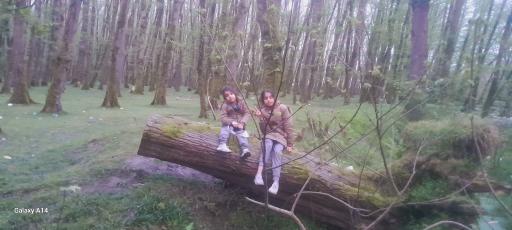 عکس صومعه سرا