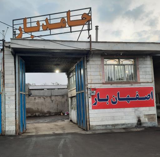 عکس حامد بار