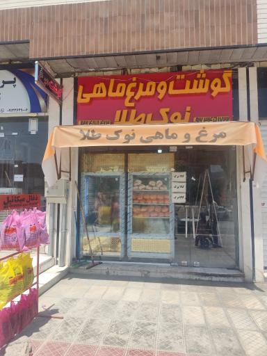 عکس مرغ و گوشت ماهی نوک طلا