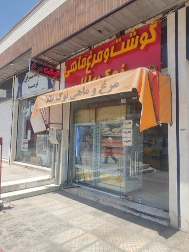 عکس مرغ و گوشت ماهی نوک طلا