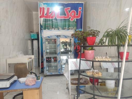 عکس مرغ و گوشت ماهی نوک طلا