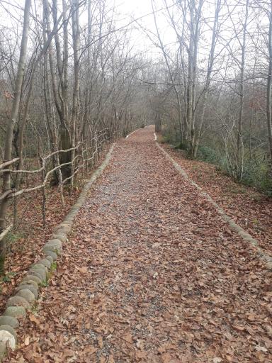 عکس صومعه سرا