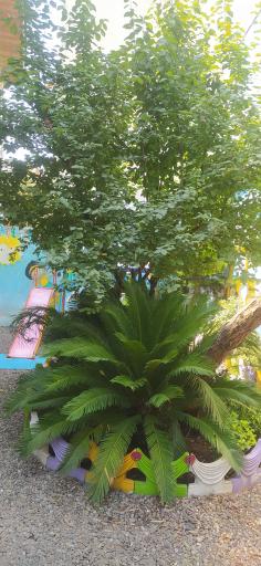 عکس مهدکودک سرزمین کودک