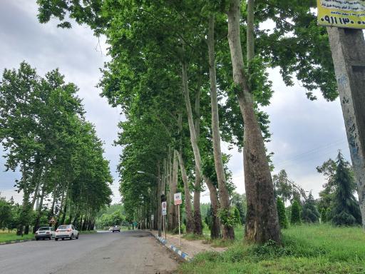 عکس صومعه سرا