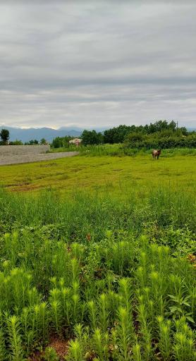 عکس صومعه سرا