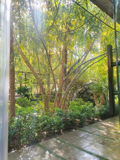 عکس رستوران گلاویژ