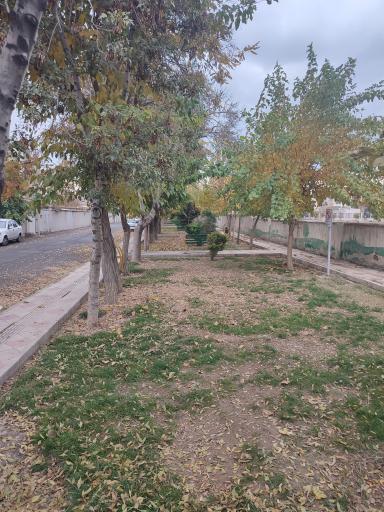 عکس بوستان قاصدک