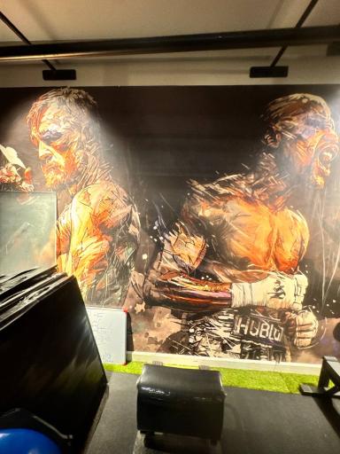 عکس باشگاه‌ هنرهای‌ رزمی