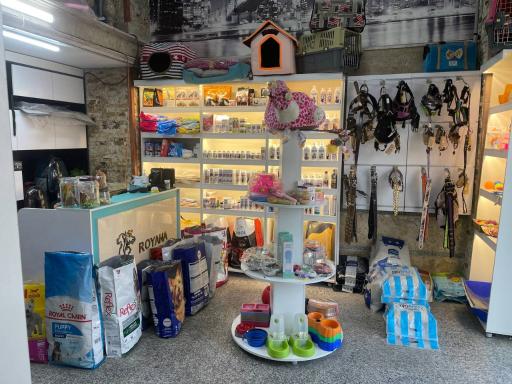 عکس کلینیک دامپزشکی درنا