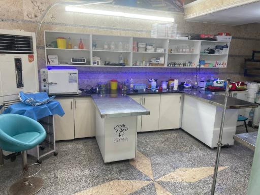 عکس کلینیک دامپزشکی درنا