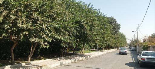 عکس بوستان قاصدک