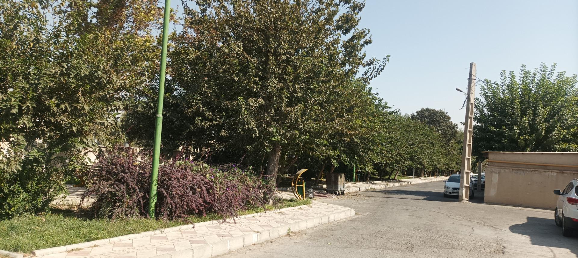 عکس بوستان قاصدک