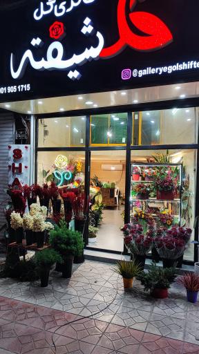 عکس گالری گل گلشیفته 
