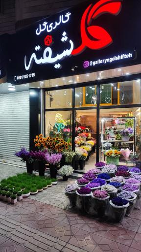 عکس گالری گل گلشیفته 