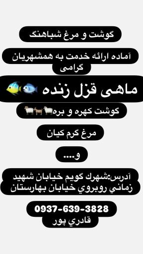 عکس گوشت و مرغ شباهنگ