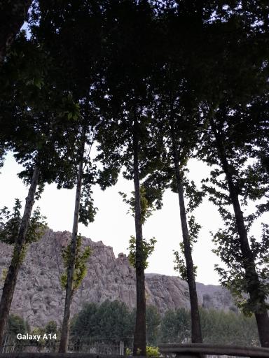 عکس بوستان چشمه برم