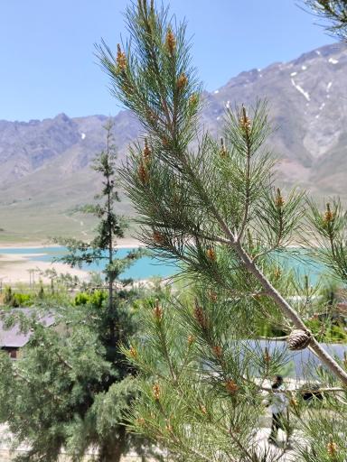 عکس دهکده گردشگری گلستانکوه خوانسار
