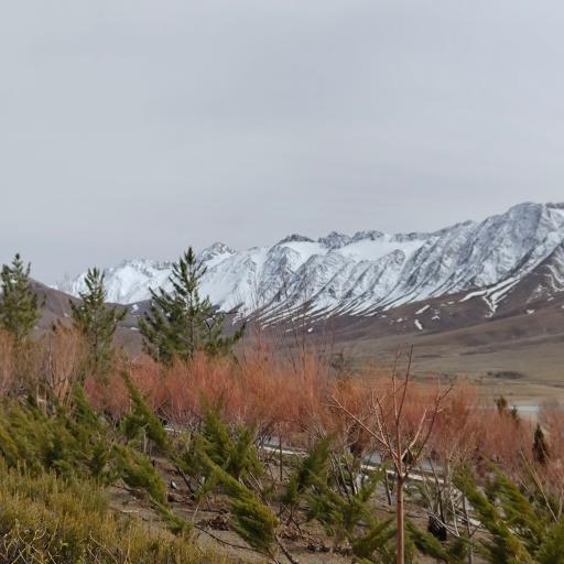 عکس دهکده گردشگری گلستانکوه خوانسار