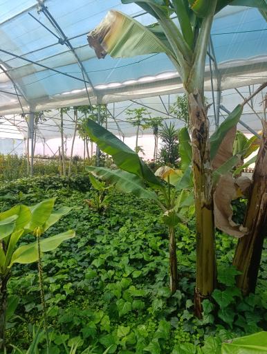 عکس دهکده گردشگری گلستانکوه خوانسار