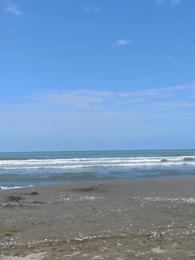 عکس ساحل گلِشمال