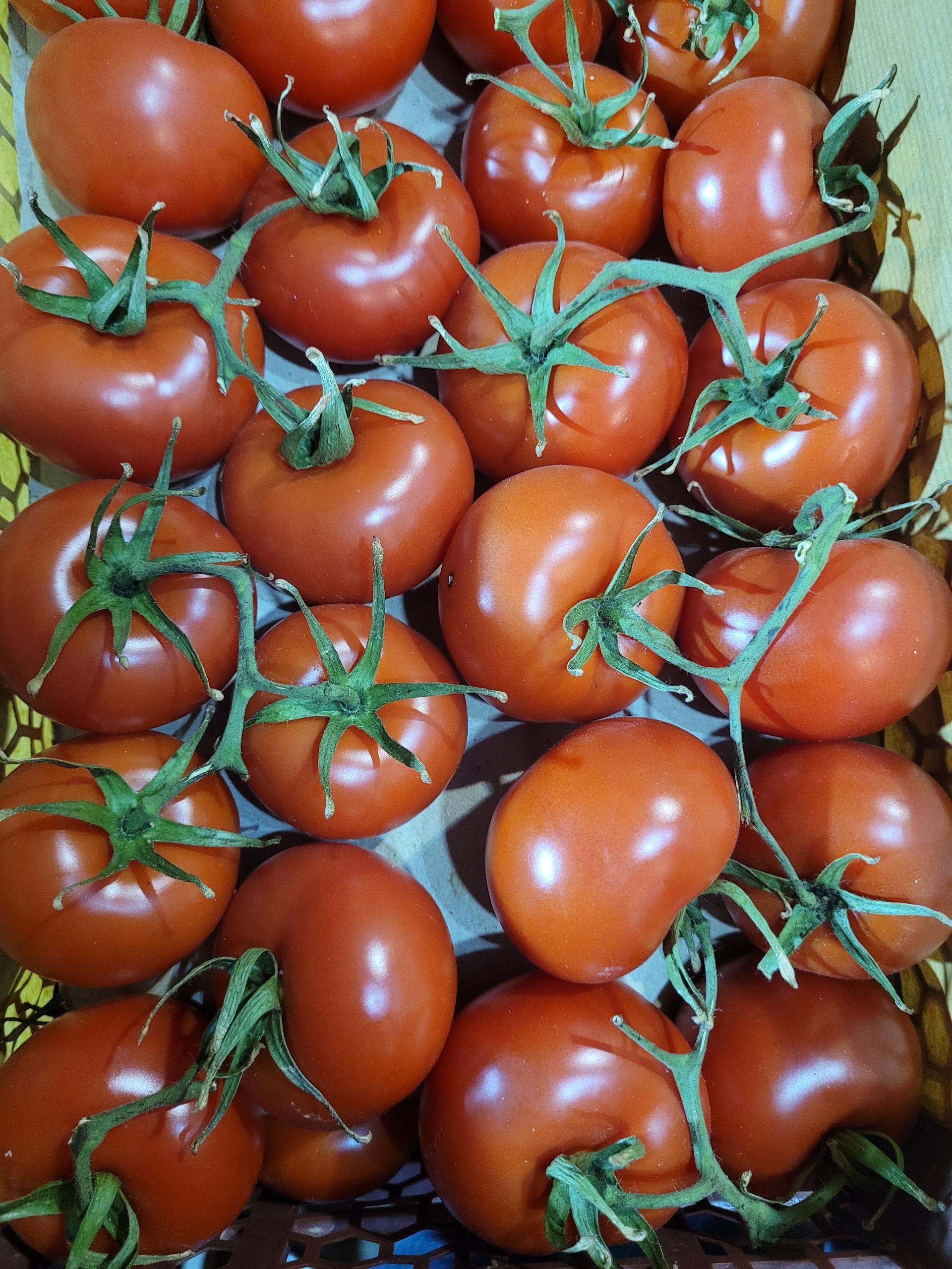 عکس میوه چین فروش میوه انلاین