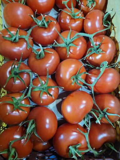 عکس میوه چین فروش میوه انلاین