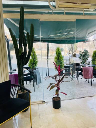 عکس کافه ملودی