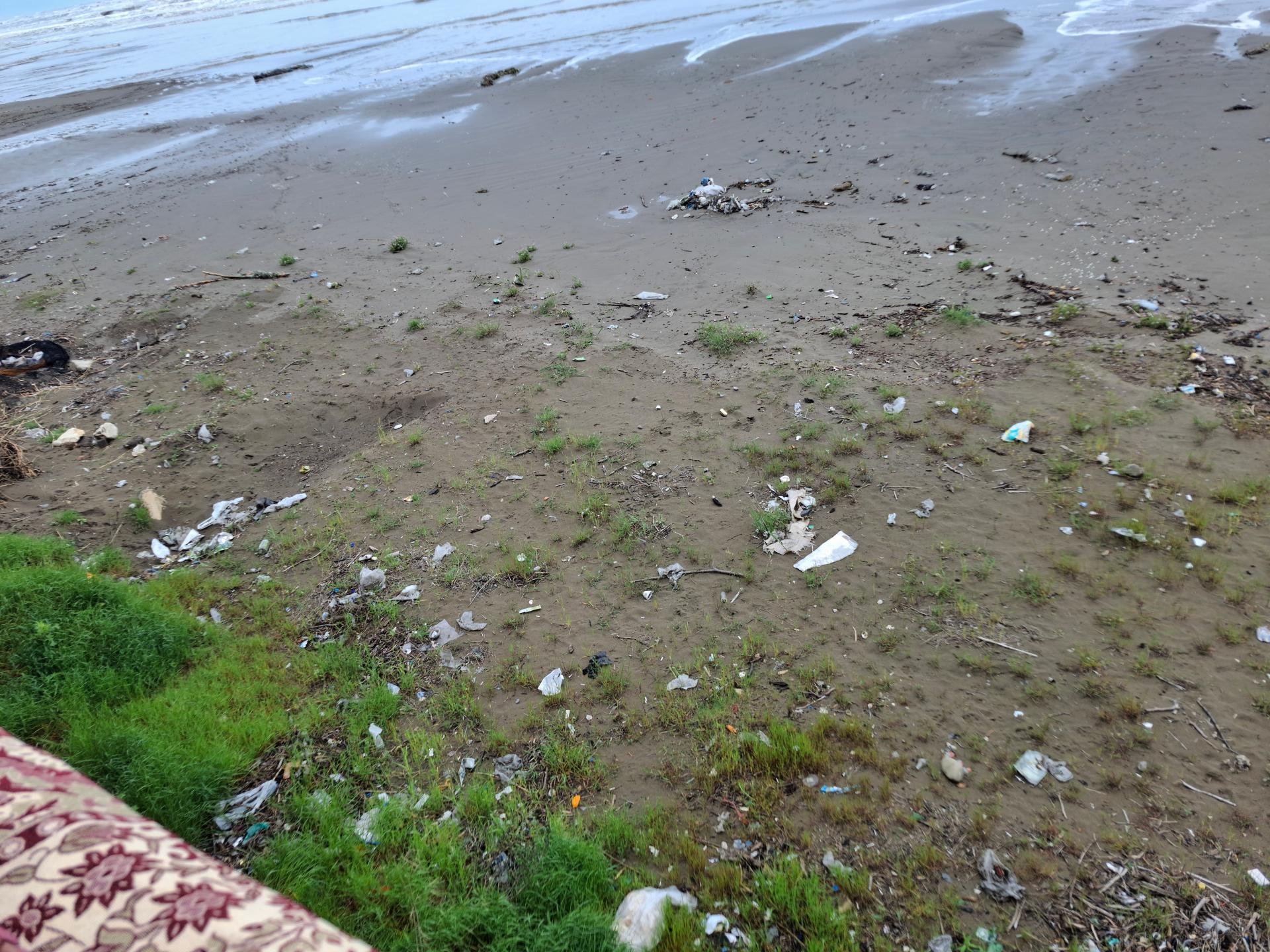 عکس ساحل گلِشمال