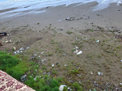 عکس ساحل گلِشمال