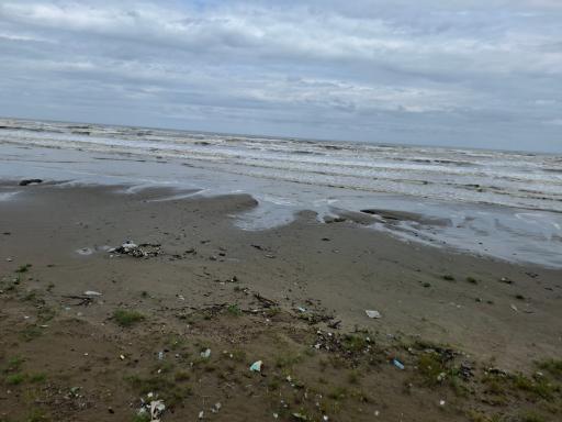 عکس ساحل گلِشمال