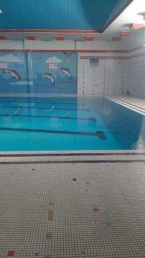 عکس استخر و سونای دلفین