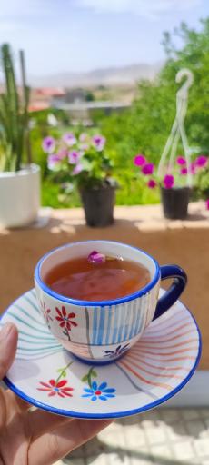 عکس کافه بوم‌گردی انار