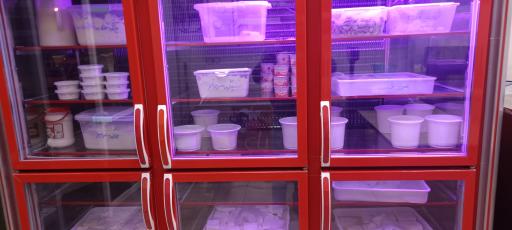 عکس لبنیات سنتی دلیران