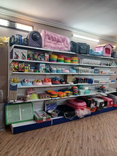 عکس کلینیک دامپزشکی و پت شاپ بهمن
