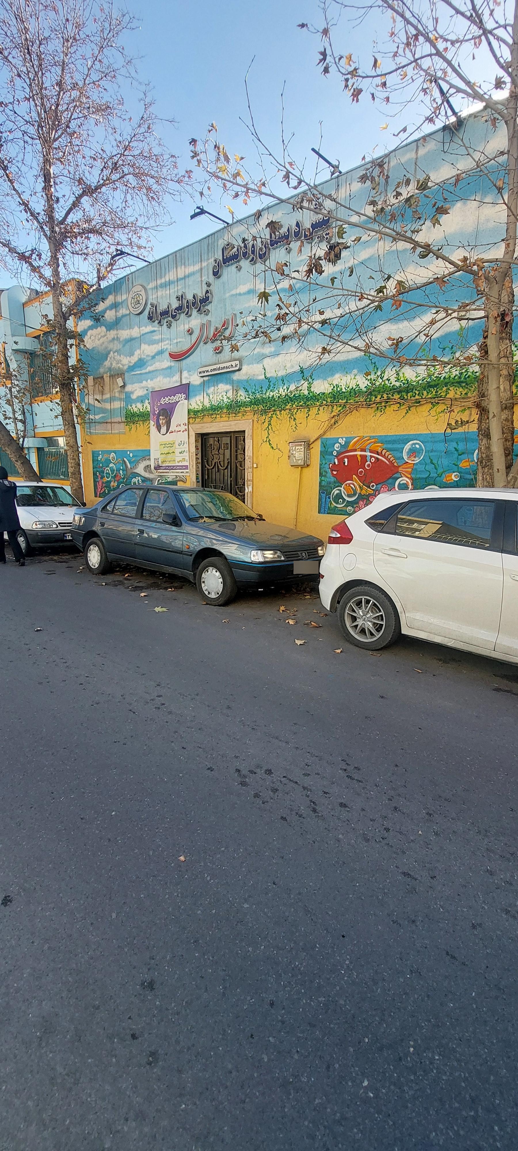 عکس پیش دبستانی و دبستان غیردولتی امیدان