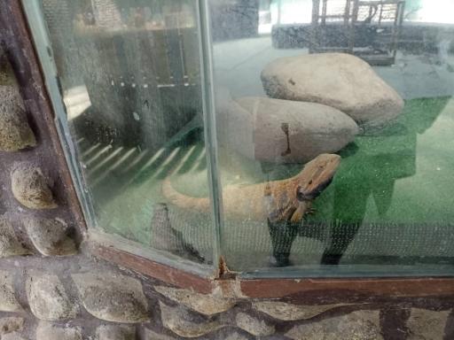 عکس پینتبال لیزرتگ آرنیکا