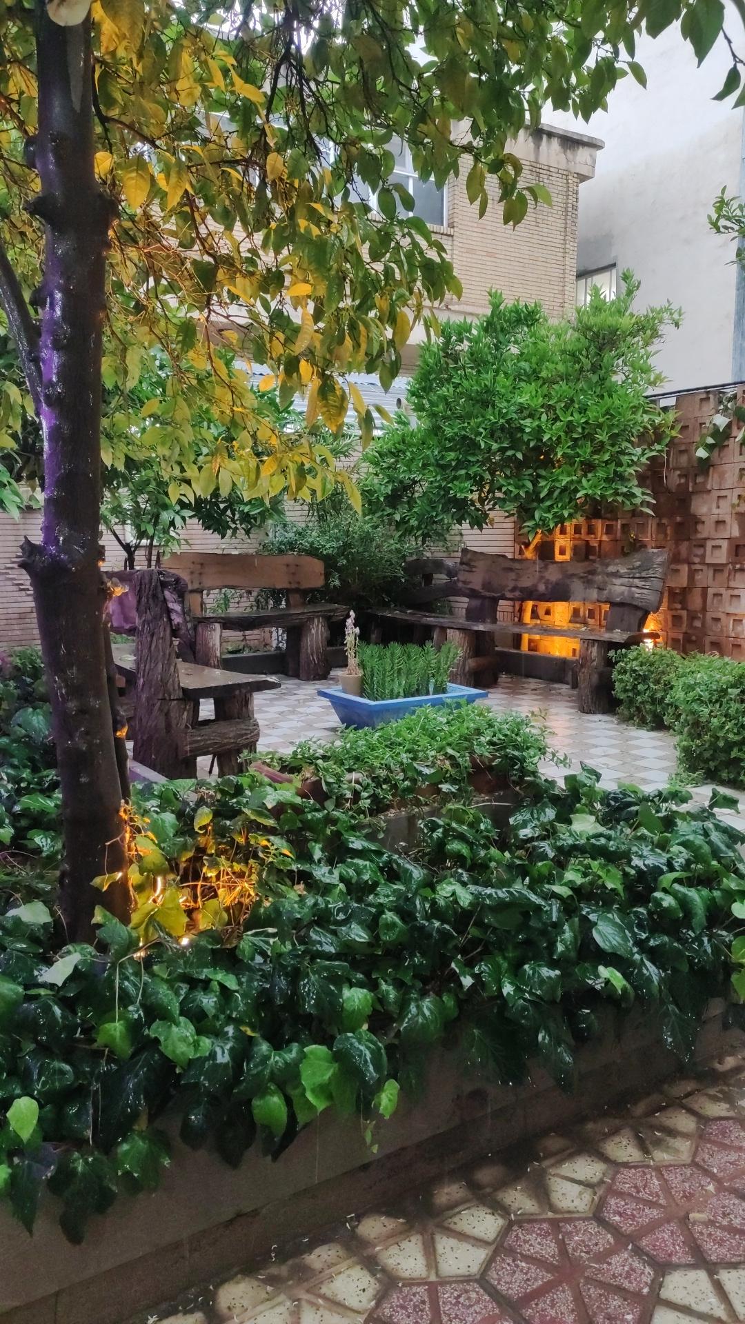 عکس آورده های فرهنگی خوب 