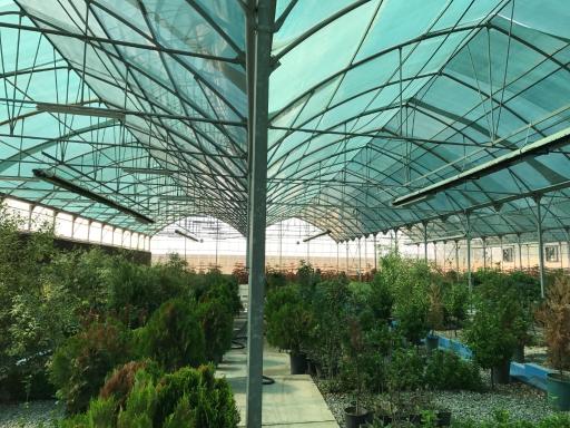 عکس کارخانه توری سایبان شمال