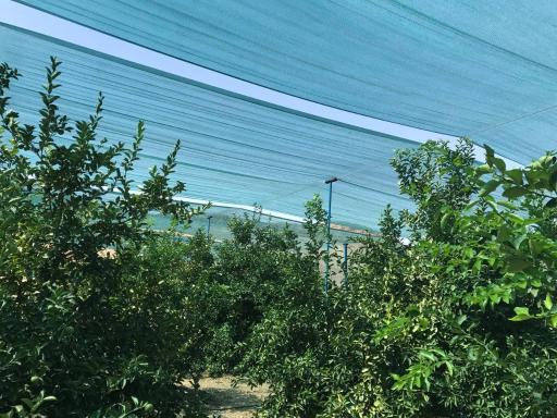 عکس کارخانه توری سایبان شمال