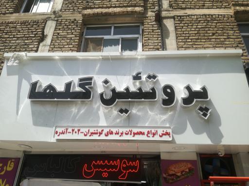 عکس پروتئین گلها