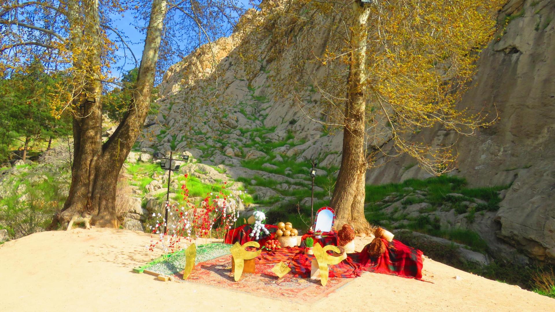 عکس درخت کهنسال طاق بستان