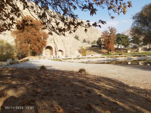 عکس درخت کهنسال طاق بستان