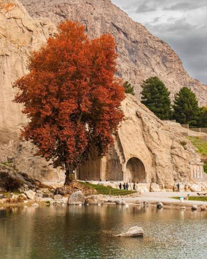 عکس درخت کهنسال طاق بستان