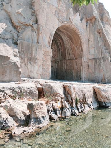 عکس درخت کهنسال طاق بستان