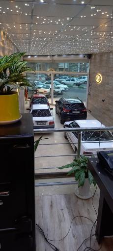 عکس اتوگالری علی دایی 