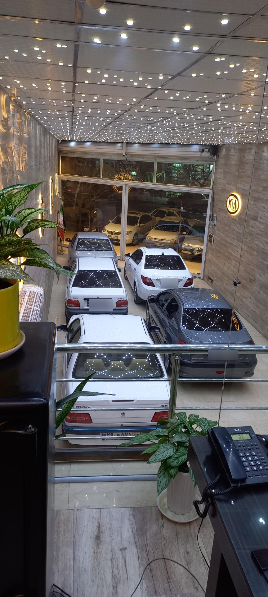 عکس اتوگالری علی دایی 