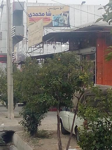 عکس اتو سرویس شاه محمدی