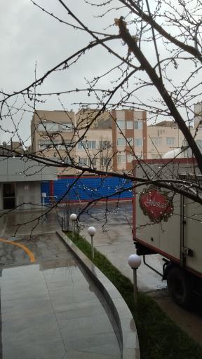 عکس شرکت چای گلستان