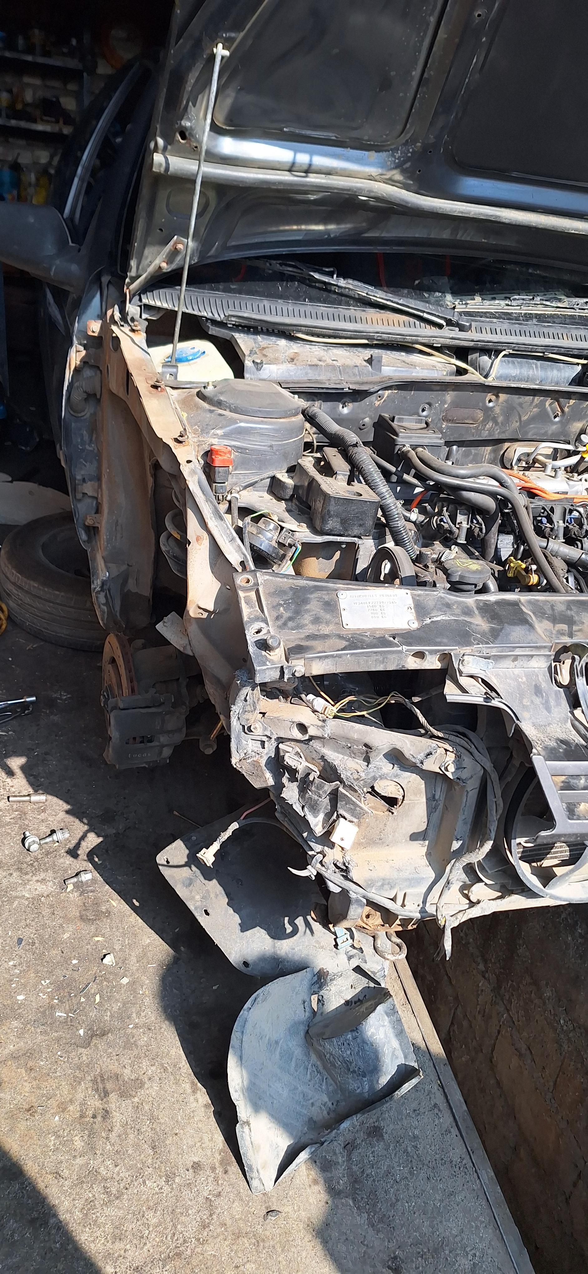 عکس جلوبندی سازی استاد سعید